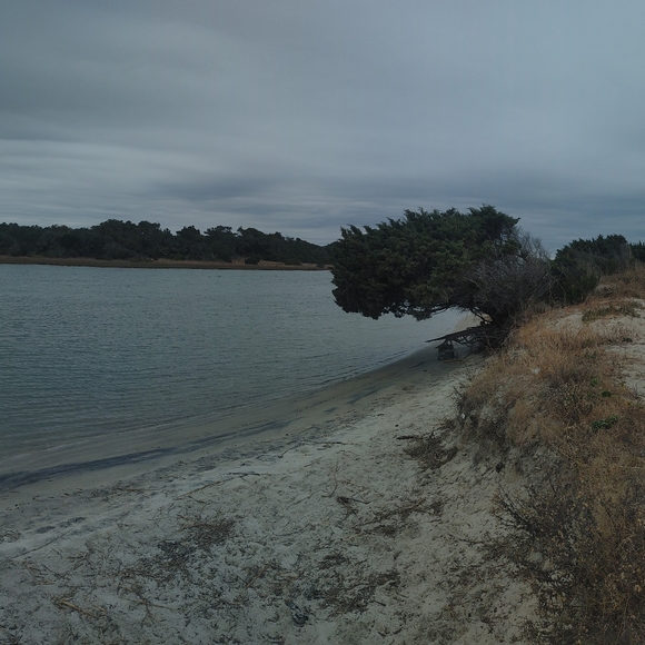 Meet your Posher, Leigh - Picture 2 of 2